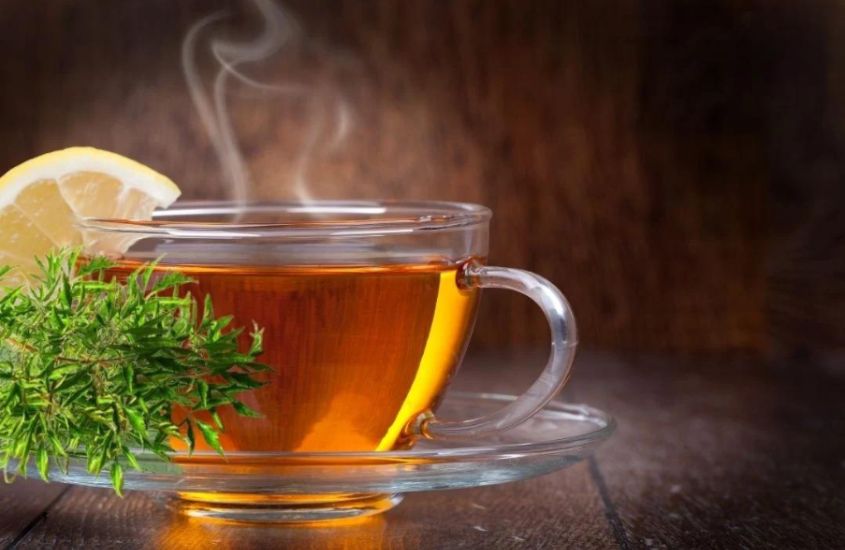 Đinh lăng là một loài dược liệu được dùng phổ biến để làm thuốc