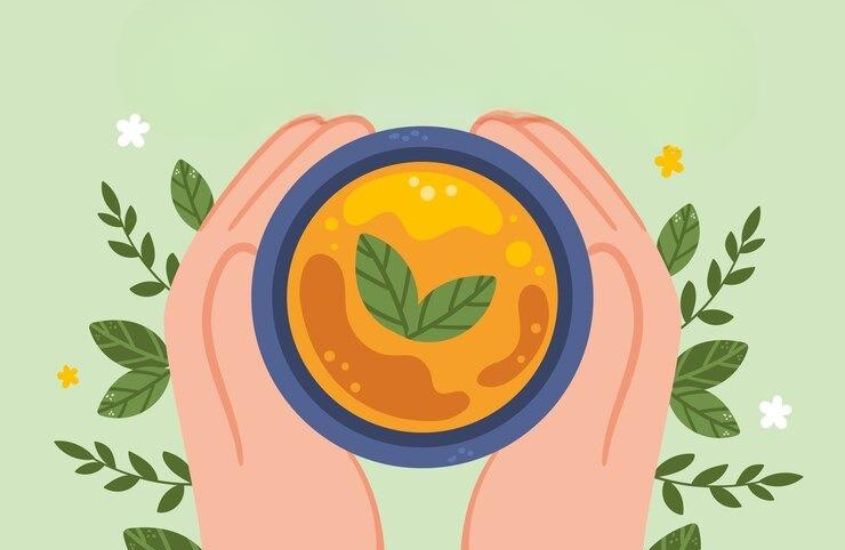 Một số lưu ý khi sử dụng lá đinh lăng