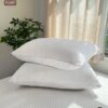 Ruột gối nằm Goni Fluff